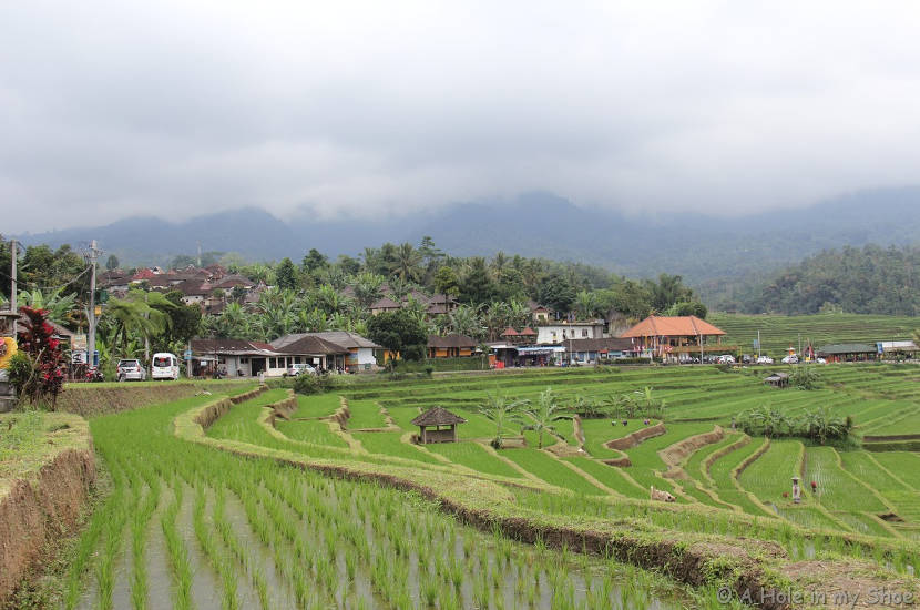 Bali is such a gorgeous place and it is one of the popular spot to spend October in Asia.