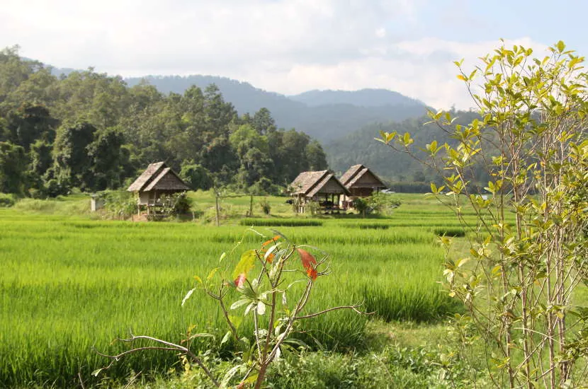 The serene vibes that Pai emits in this pic just makes me want to pack my bags already! 