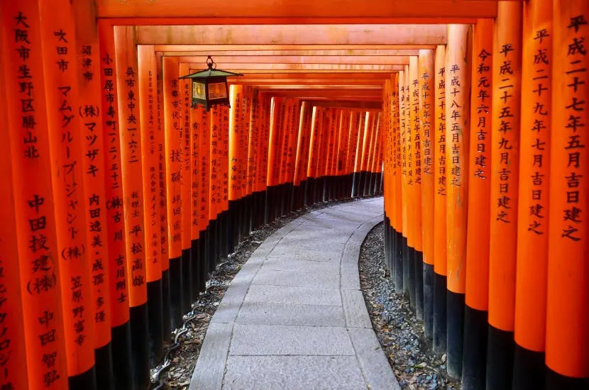 Kyoto is a great place to spend November in Asia.