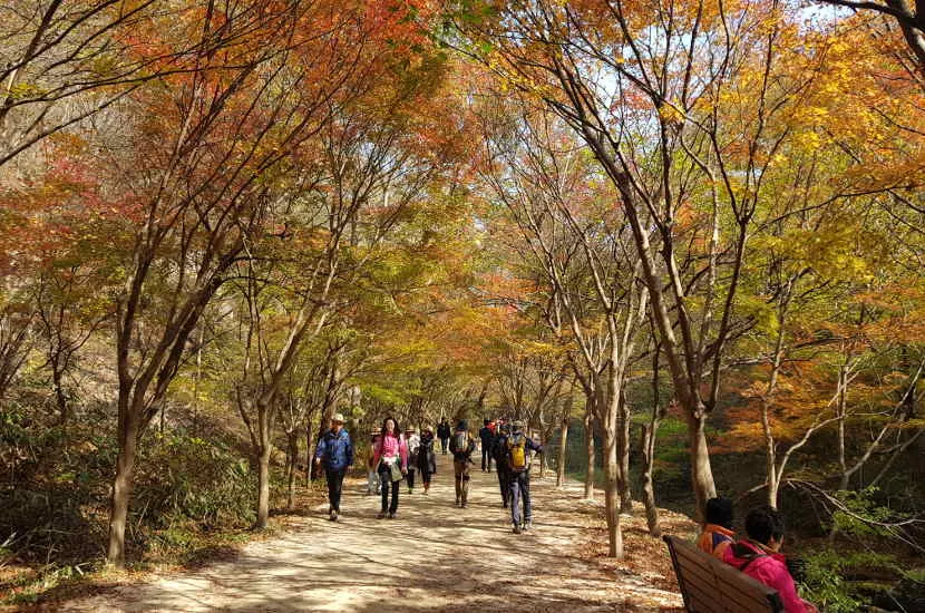 Jirisan National park is an intriguing place to spend November in Asia.