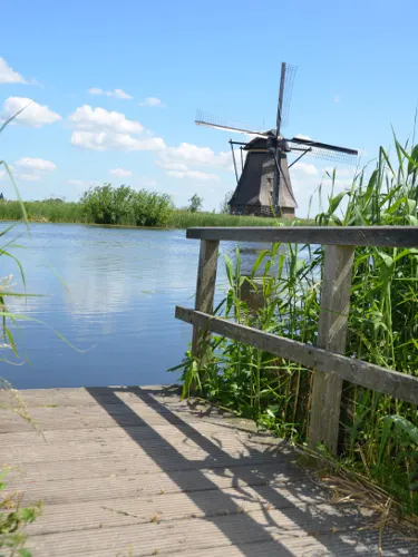 Kinderdijk globetrove