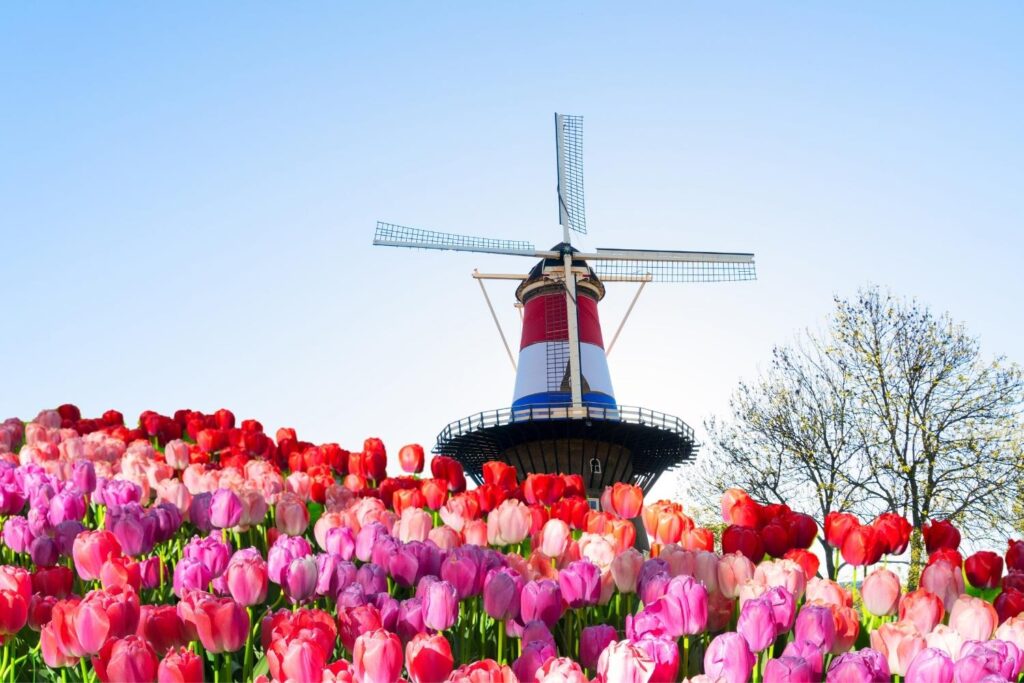 Leiden is a beautiful city to visit as part of day trips from Amsterdam.