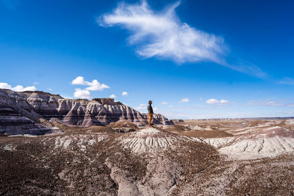 Petrified Forest National Park is the perfect place to spend April in the USA.