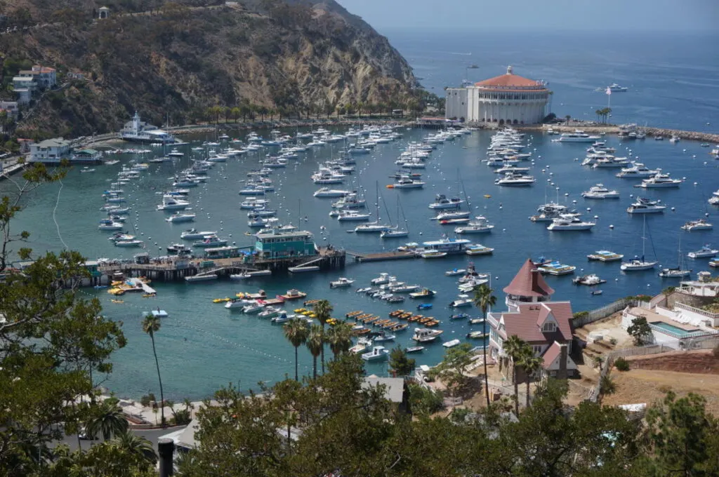 Looking for an island to spend June in the USA? Catalina island is a great pick!
