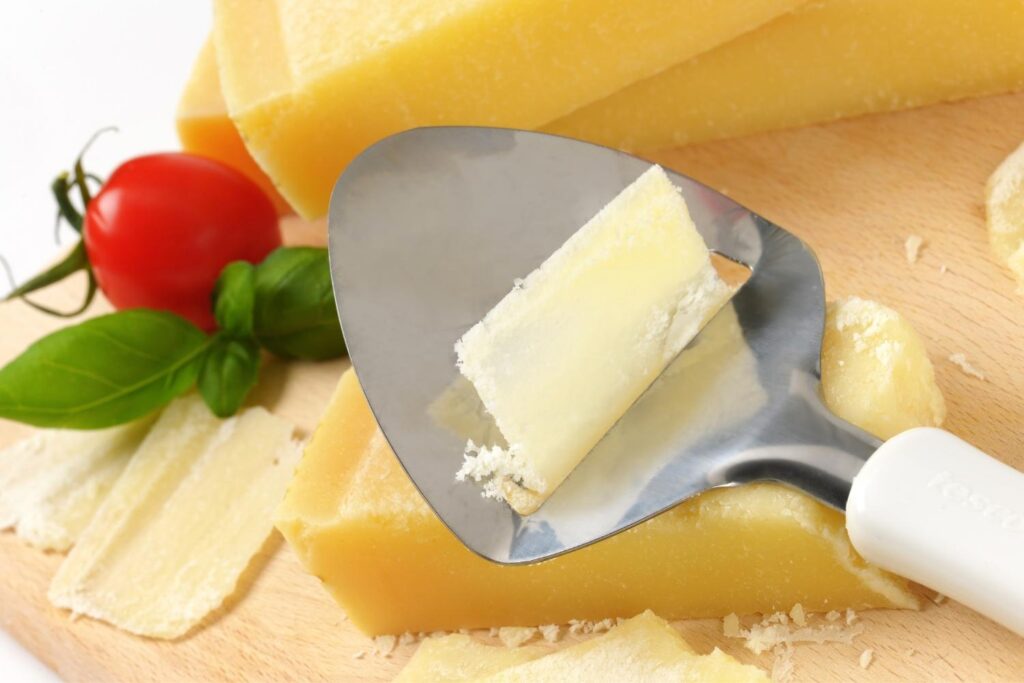 Cheese slicer