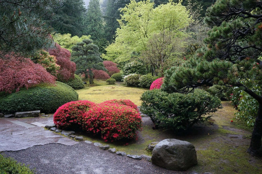 Love sculpted gardens? Then the Japanese botanical garden in Portland is great to spend time in August in the USA. 