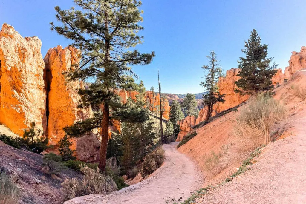 Bryce Canyon National Park is another interesting spot to spend July in the USA.