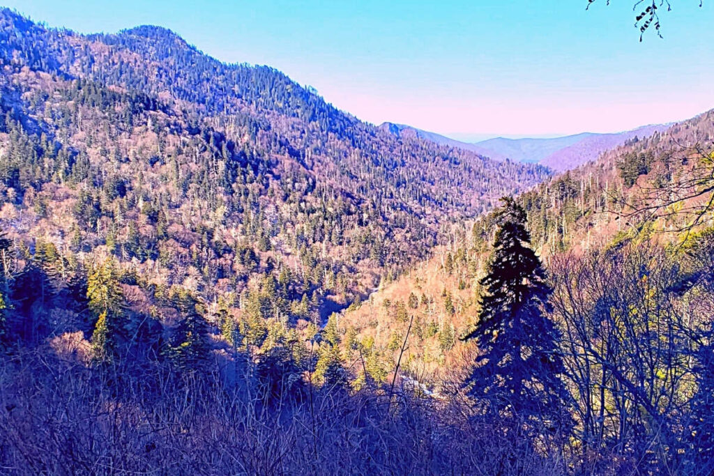 Want to catch the autumn colors? Spend November in the USA in the North Georgia mountains.