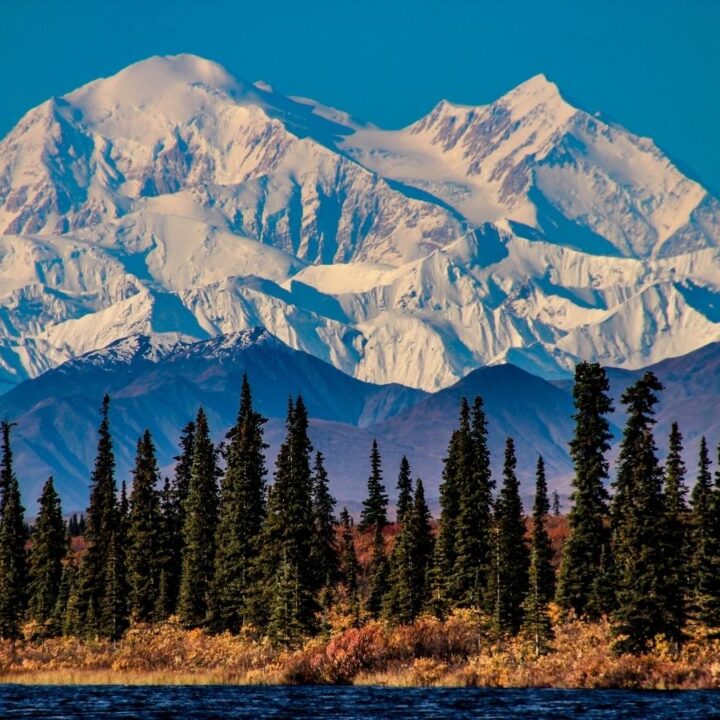 13 Adventurous Things To Do In Alaska That You Will Love