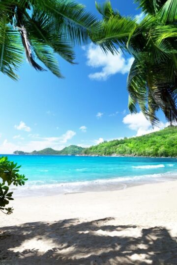 15 Incredible Things To Do On Big Island, Hawaii 15 Big Island Hawaii