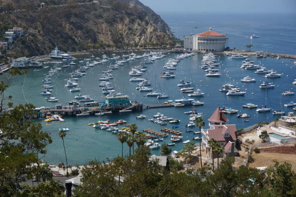 Catalina island is the perfect place to spend December in the USA. 