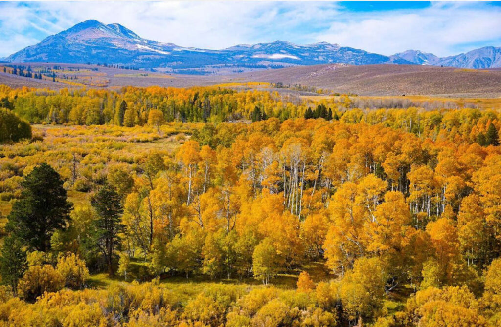 The Eastern Sierra is another intriguing place to spend October in the USA!