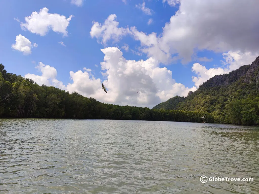 Eagle watching is one the fun things to do in Langkawi.