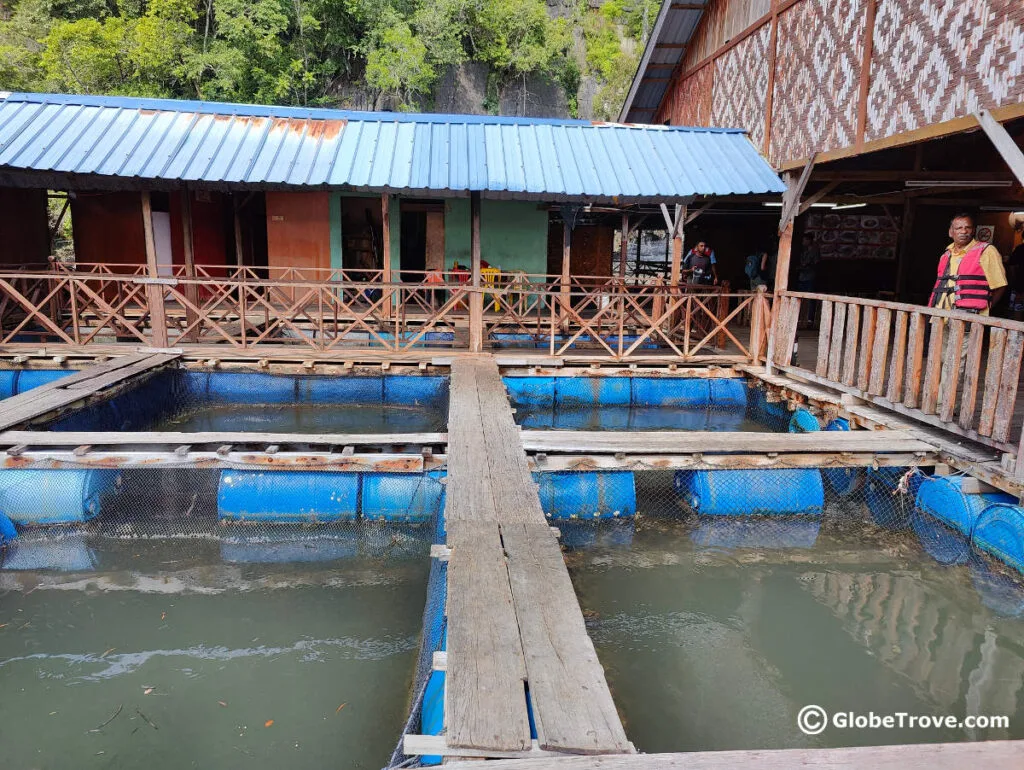 The Langkawi mangrove tour also included a stop at a fishing village.