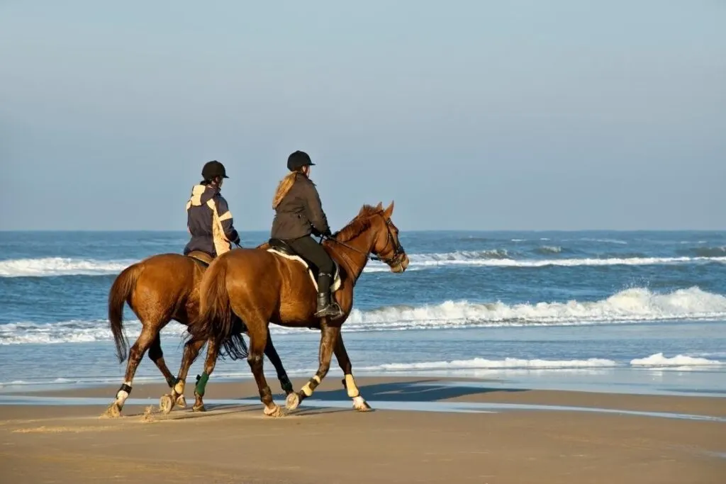 Horse riding is another interesting thing to do on Big Island, Hawaii.