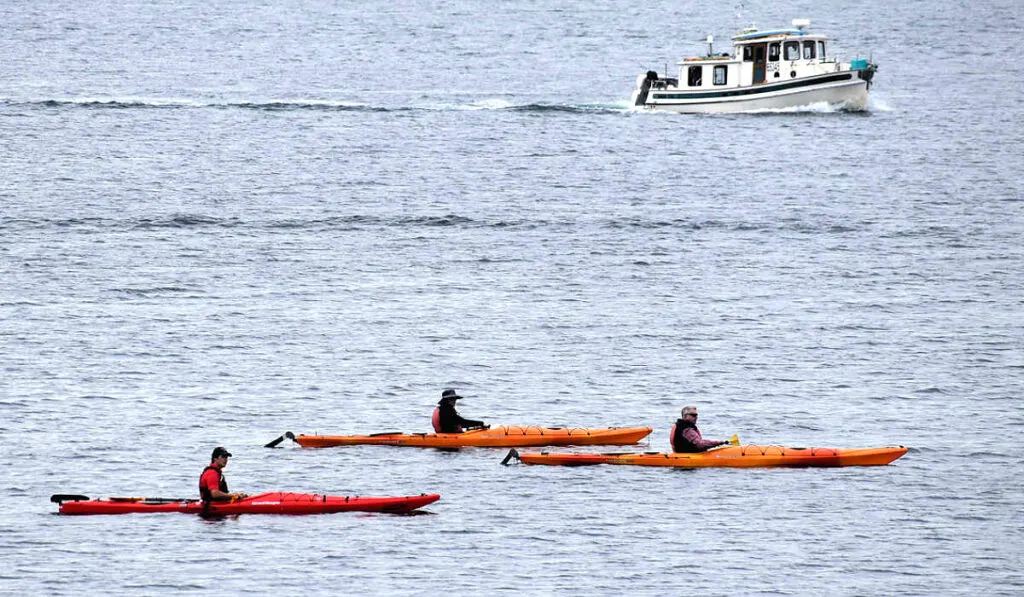 You just can't forget kayaking when you talk about adventurous activities in Alaska in summer.