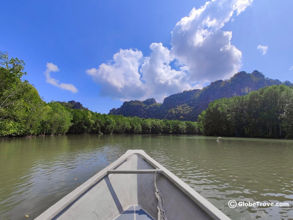 Langkawi Mangrove Tours