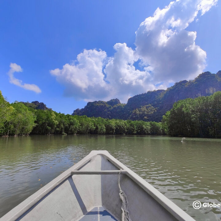 Langkawi Mangrove Tours