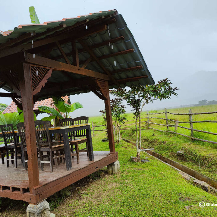 Nasi Dagang Pak Malau: Amazing Food, Great Ambiance and Loved By Locals