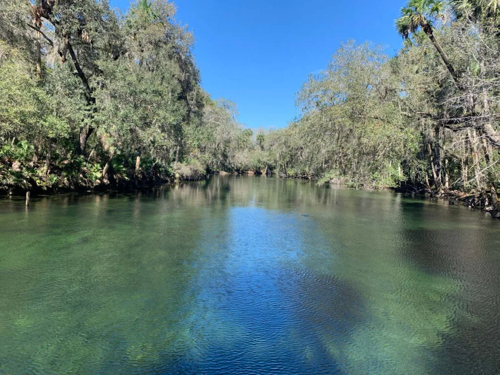 Another iconic place to spend November in the USA is Orlando in Florida.