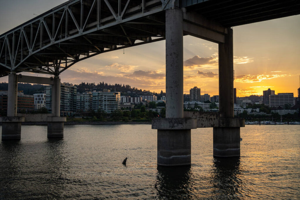 Looking for things to do in Portland without the crowds? Head over to the east side of the river.
