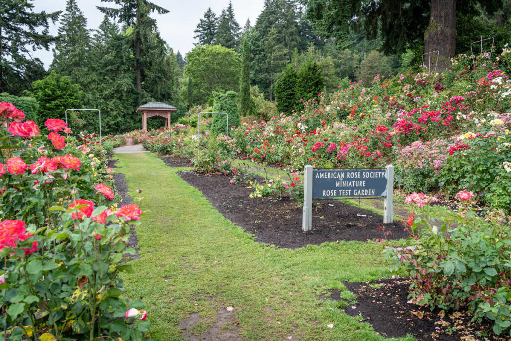 If you are looking for green spaces in the city, then one of the things to do in Portland that you will love is the Washington Park.