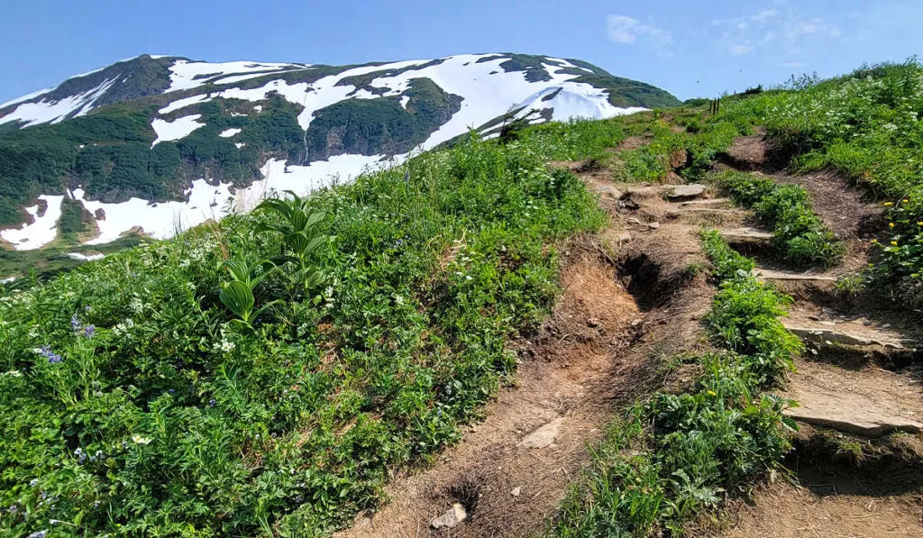 Hiking is not only one of the best adventurous things to do in Alaska in spring, it also gives you a chance to catch some spectacular views!