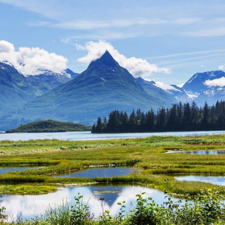 10 Cool Things To Do In Anchorage, Alaska