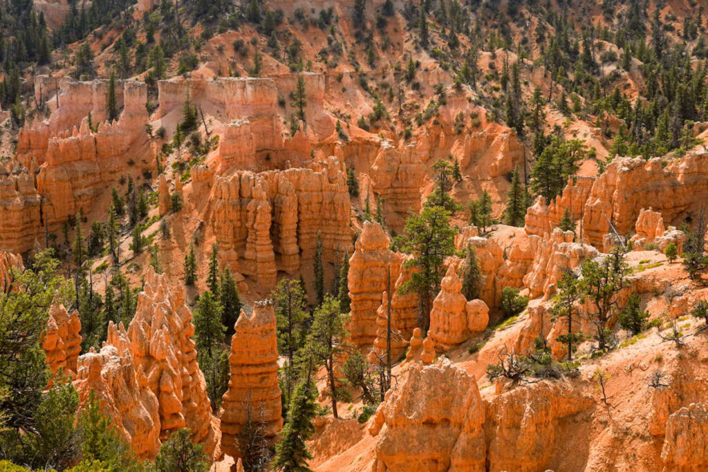Looking for an epic place to spend December in the USA? Try Bryce Canyon National Park.