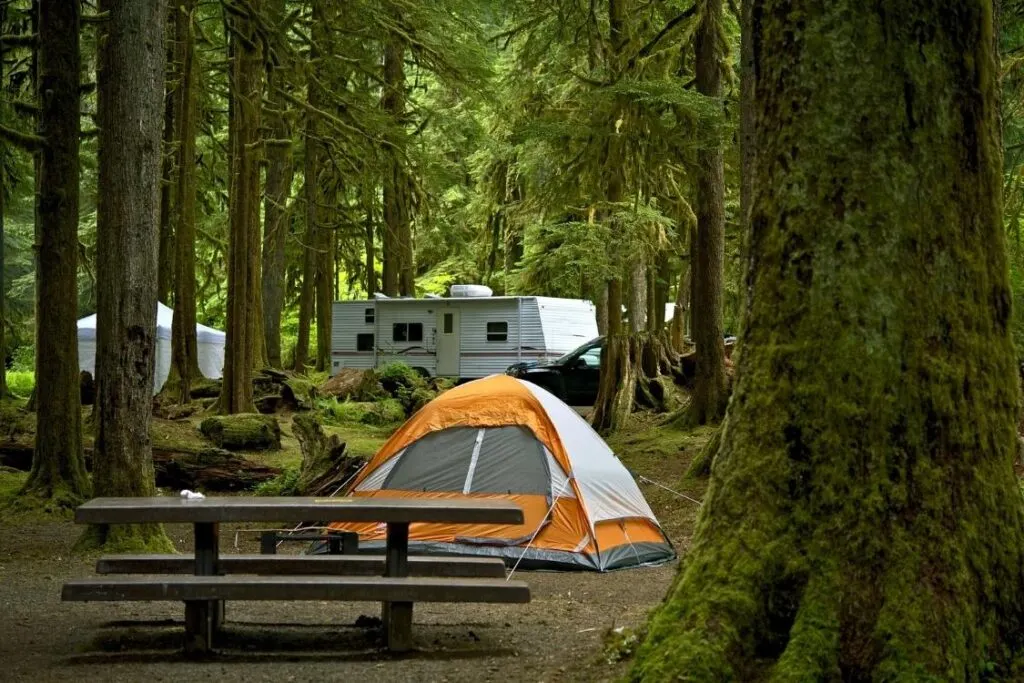The Big Meadows Campground is one of the best campgrounds in Virginia.