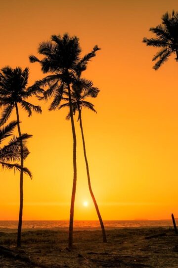 70+ Captions And Quotes On Goa That Are Perfect For Instagram 18 Captions And Quotes On Goa That Are Perfect For Instagram