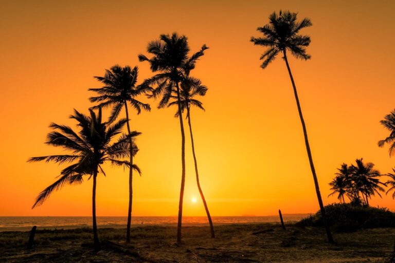 Captions And Quotes On Goa That Are Perfect For Instagram