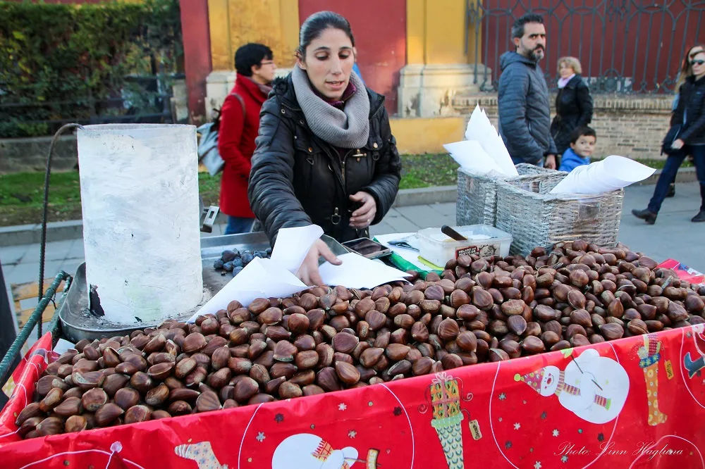 Chestnuts in Seville Amused by Andalucia