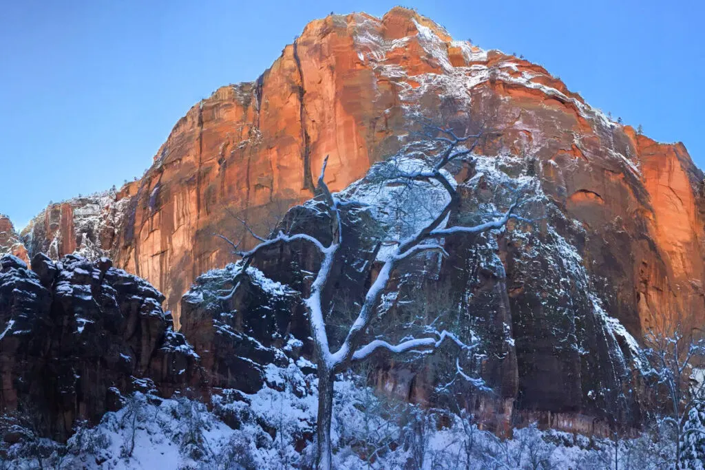 Zion national park is one of the best places to spend to Christmas in the USA.