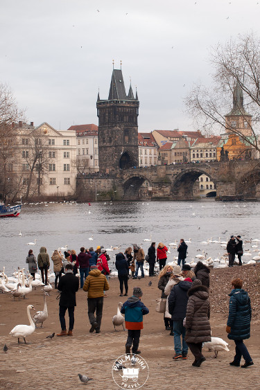 Prague is a great spot to spend January in Europe
