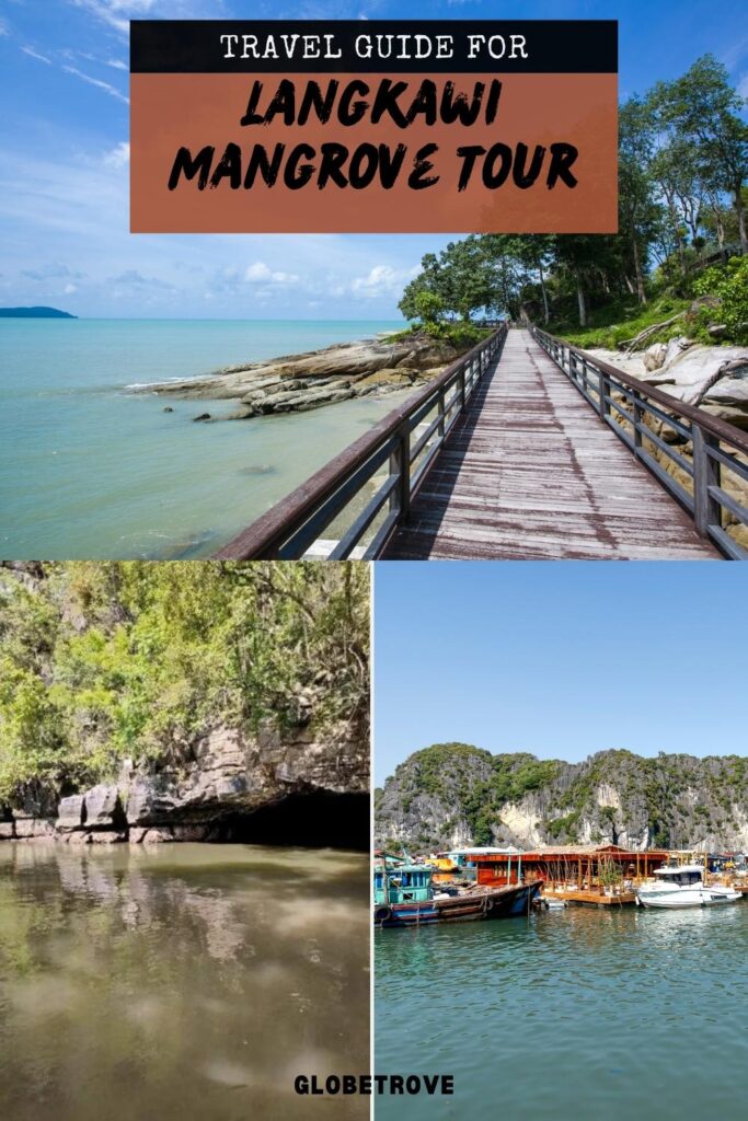 Langkawi Mangrove Tour