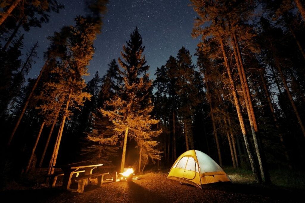 One of the best campgrounds in Virginia is Loft Mountain campground.