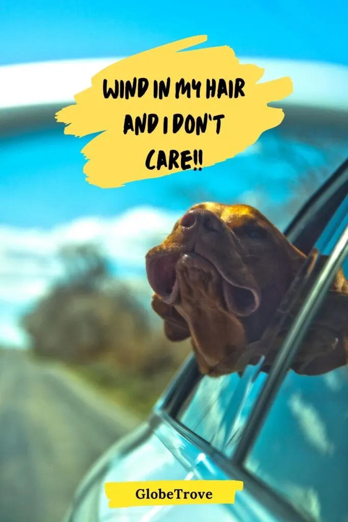 Amazing short road trip captions and quotes for Instagram