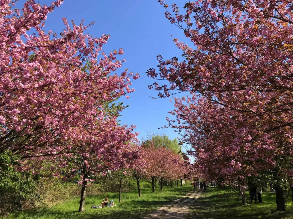 Berlin is a lovely spot to spend April in Europe.