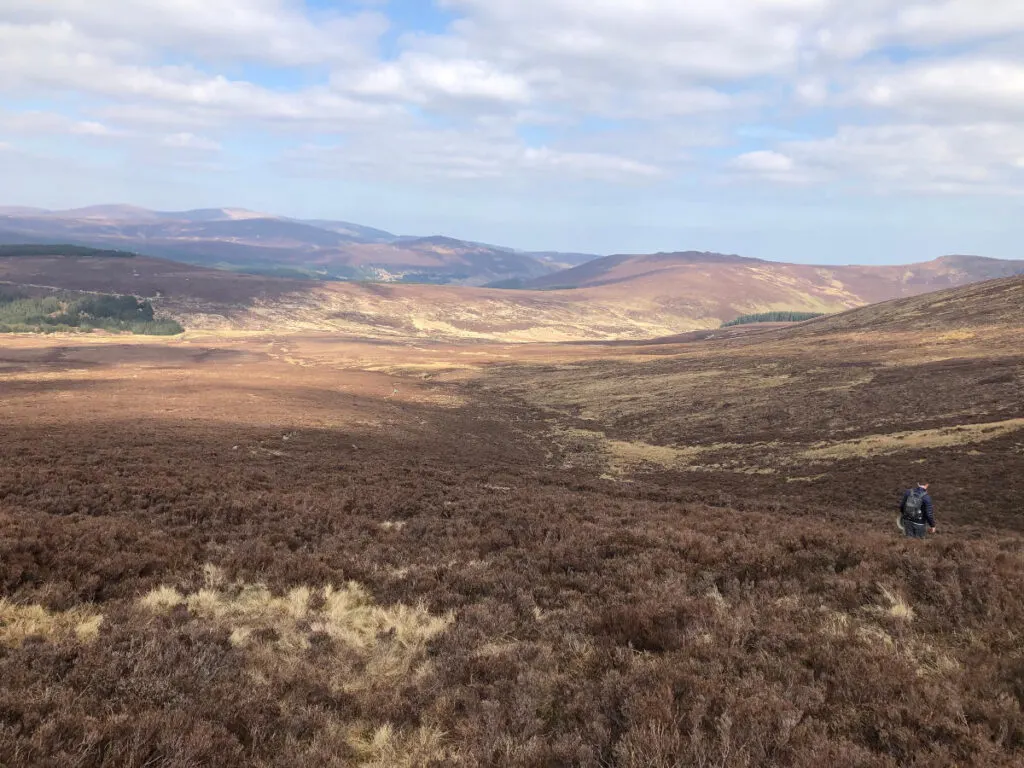 Wicklow is an amazing spot to spend March in Europe.