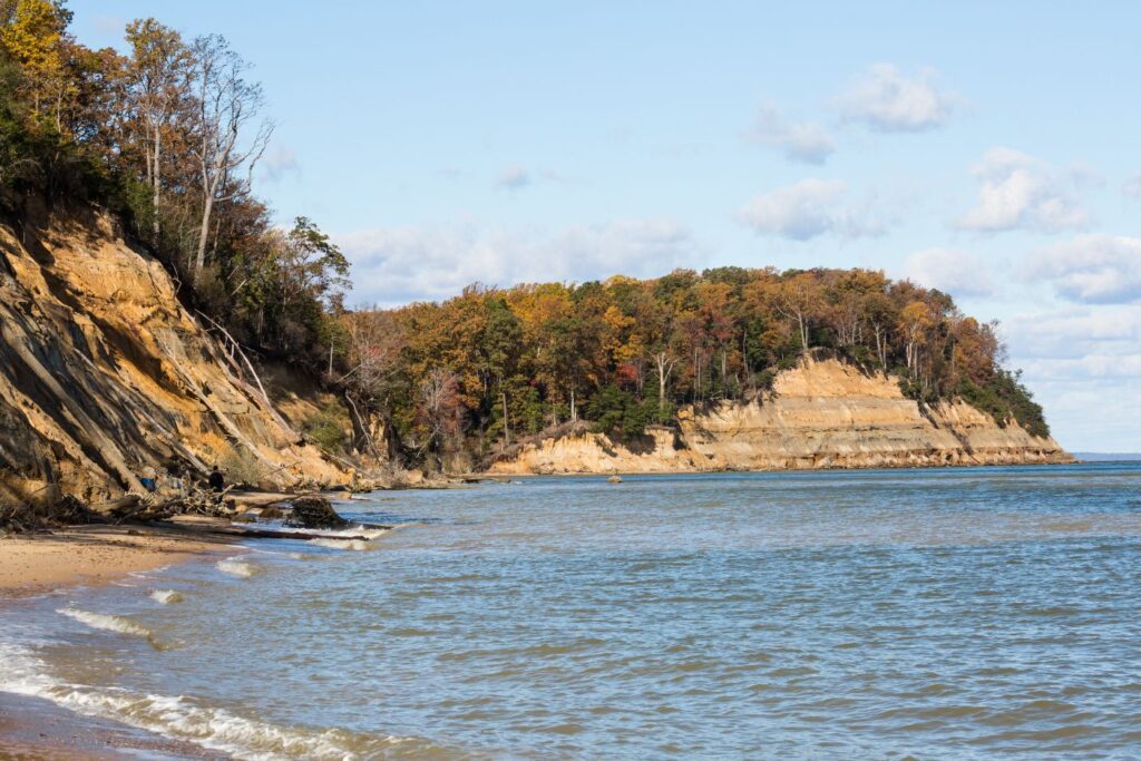You can't go wrong with Calvert cliffs if you are interested in hiking in Maryland.