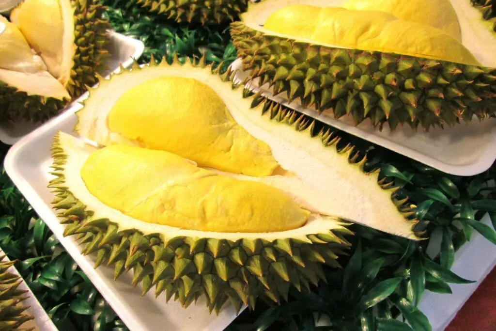 If you want to take Durian as one of your souvenirs from Malaysia, make sure that you check with the mode of transport you take because it isn't allowed on all of them!