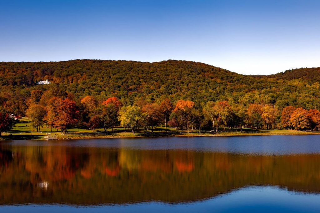 If you love the outdoors then the Radnor Lake State Park is one of the best things to do in Nashville.