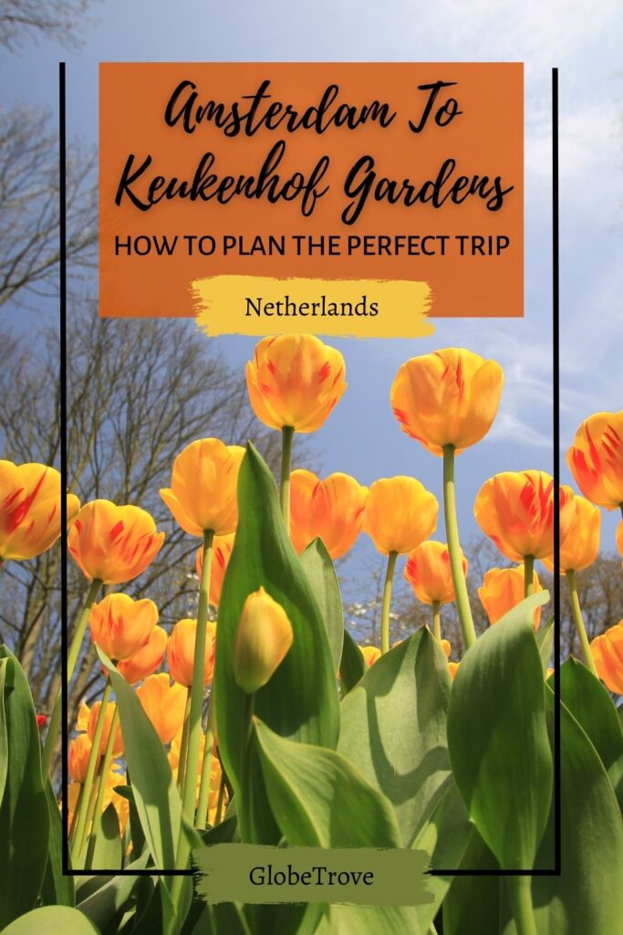 Amsterdam to Keukenhof gardens