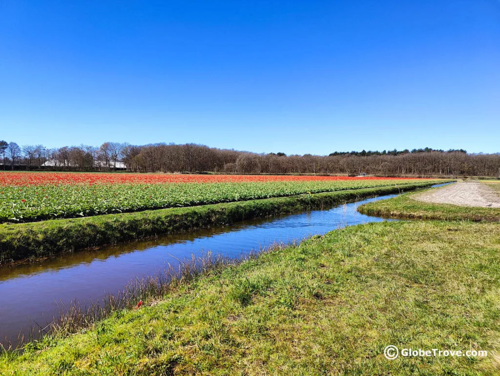 This glimpse of the countryside will tell you why Lisse is one of the best day trips from Amsterdam!