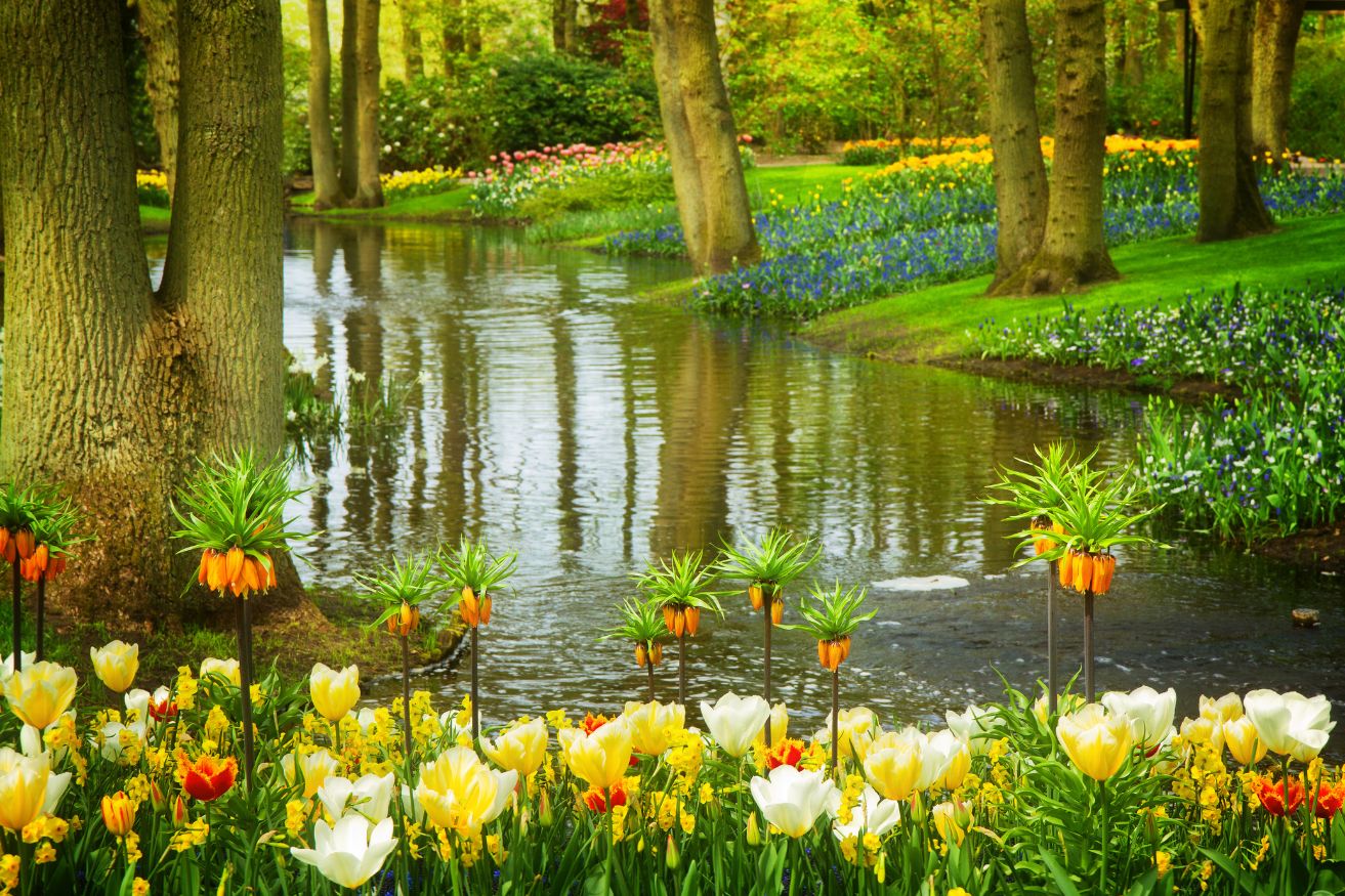 From Amsterdam To Keukenhof Gardens By Train, Car & Tour GlobeTrove