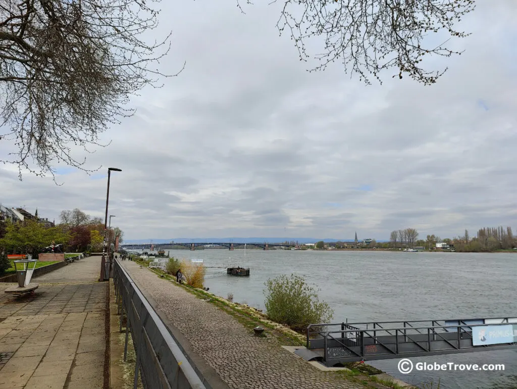 The Rheinufer  was one of my favorite areas to walk in Mainz Germany