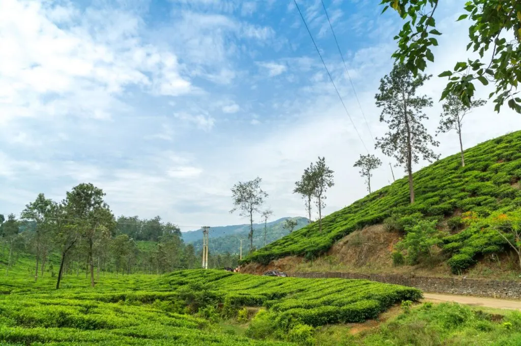 Wayanad is a relaxing place to spend a weekend away from Bangalore