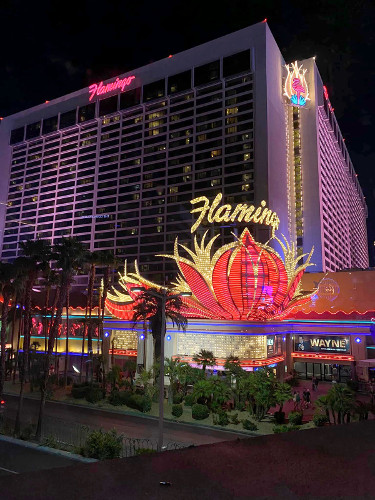 Flamingo Hotel