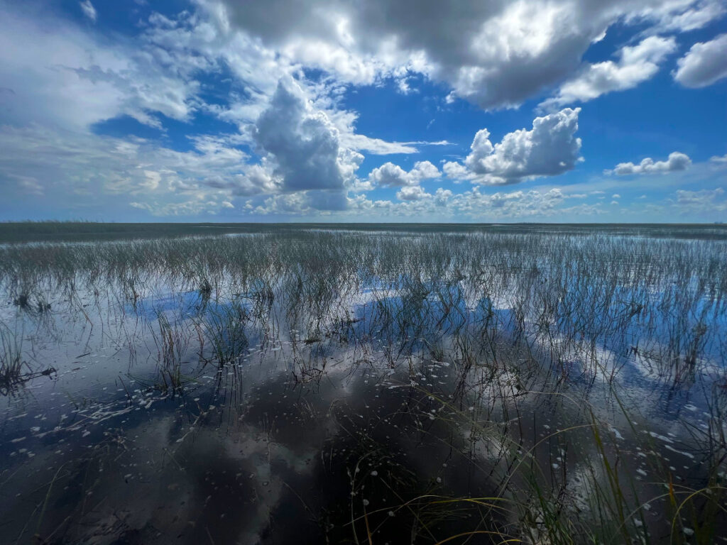 Exploring the Everglades National park is one of the fun things to do in Miami with kids.